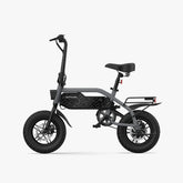 Shadow Fat Tire Electric Bike