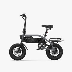 Shadow Fat Tire Electric Bike