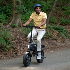 Shadow Fat Tire Electric Bike