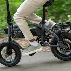 Shadow Fat Tire Electric Bike